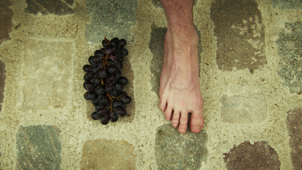 Adelina Bernard pre-campaign Like the Peeling of a Pomegranate bare foot beside grapes on stone pathway